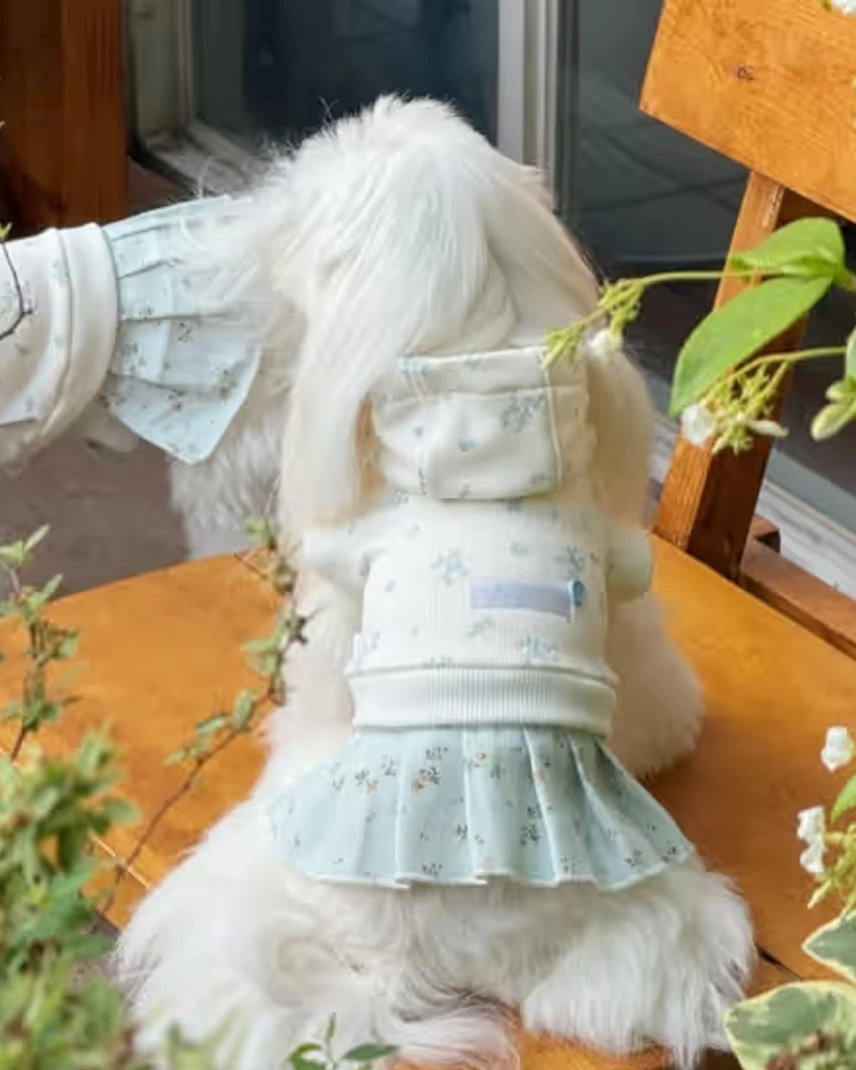 Spring Floral / Pleated floral dress Spring Garden Tale